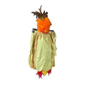 Phoenix BIrd Parrot Girls Size Medium M 8 10 Costume Complete Set